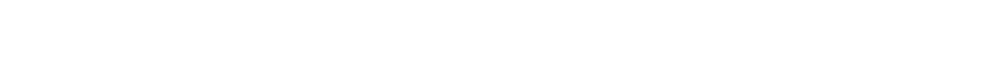 FY Automobile
